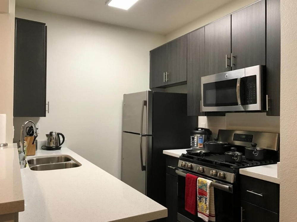 Brilliant Apartment Walk Distance to UCLA O9 Image 10