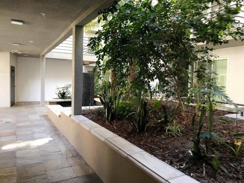 Brilliant Apartment Walk Distance to UCLA O9 Image 27