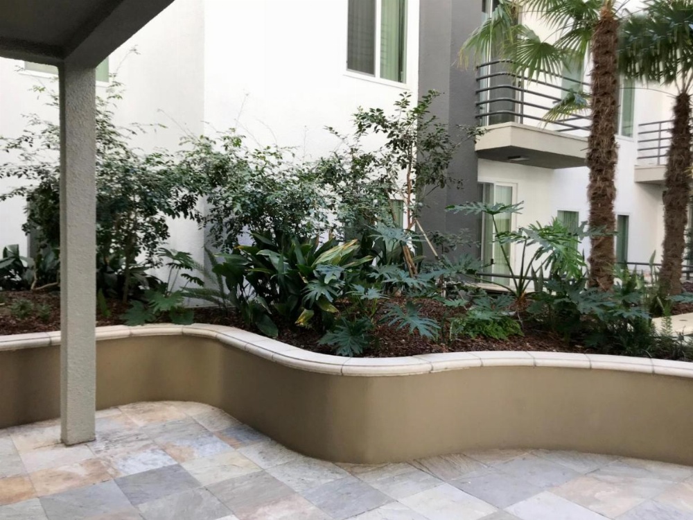 Brilliant Apartment Walk Distance to UCLA O9 Image 28